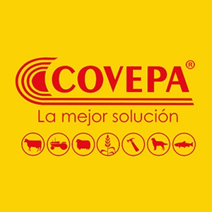 cybermonday Covepa